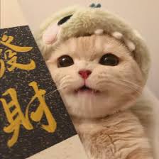 Avatar Trần Thị Mai